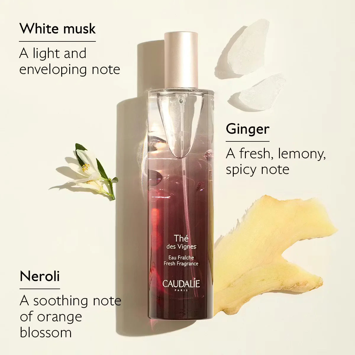 Caudalie Thé des Vignes Fresh Fragrance Thé des Vignes-50ml