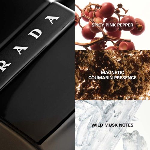 Prada Luna Rossa Black Man Eau de Parfum